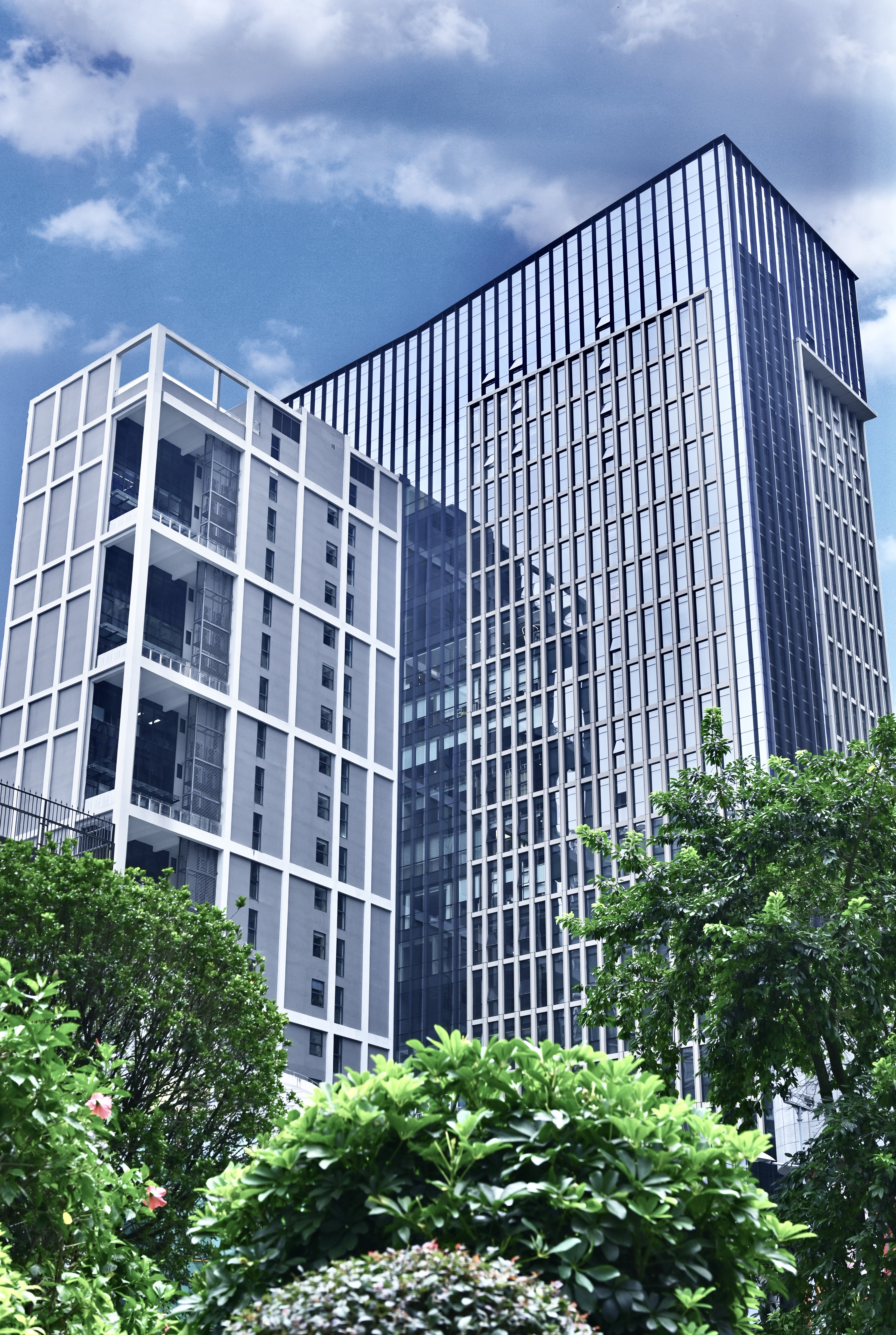 关于深圳市特力（集团）股份有限公司  建管部负责人选聘的公告